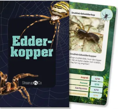 Edderkop Kortspil 1 Edderkop Kortspil