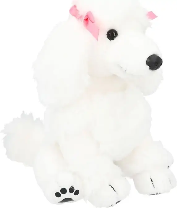 Top Model - Puddel Bamse - Chanel 4 Top Model - Puddel Bamse - Chanel - Billede 4